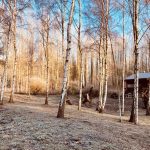 The Arc Cabin - About us 4