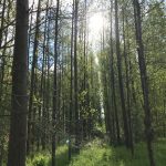 The Arc Hub - Elton Peterborough - 10