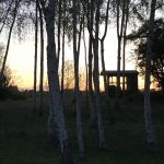The Arc Hub - Elton Peterborough - 18